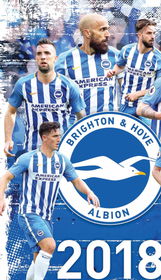 Brighton & Hove Albion Home Game - Next Season 161//280